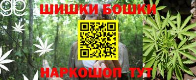индика Обнинск