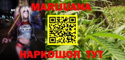 индика Обнинск