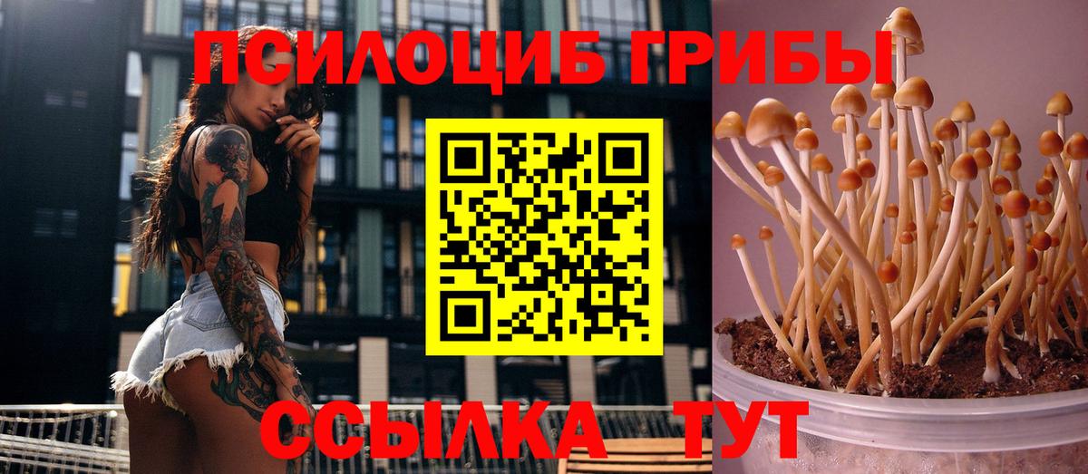 Псилоцибиновые грибы мухоморы  Псилоцибиновые грибы мухоморы  Вход с VPN  Тавда 