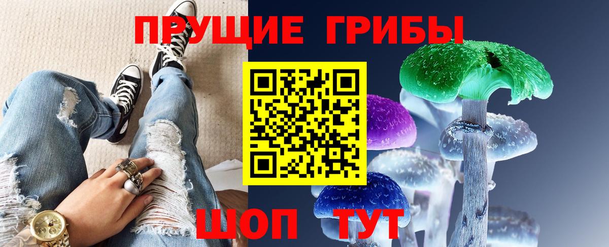 Галлюциногенные грибы Psilocybine cubensis Тавда